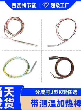 单头发热管带测温加热棒不锈钢加热棒恒温大功率加热管220v3000w