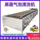 酱菜脱盐设备 黄金钩洗菜机 大枣果蔬气泡清洗机 预制菜加工设备
