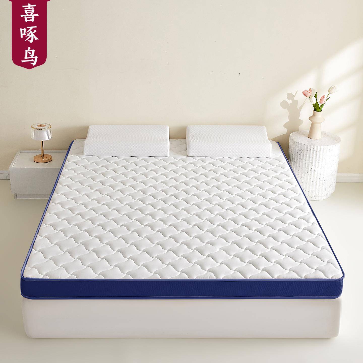 床垫软垫家用宿舍学生单人榻榻米垫子海绵垫褥子租房专用加厚软垫
