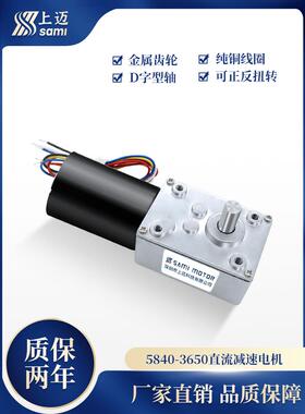 5840-3650涡轮蜗杆直流减速电机无刷24v12v自锁大扭矩齿轮