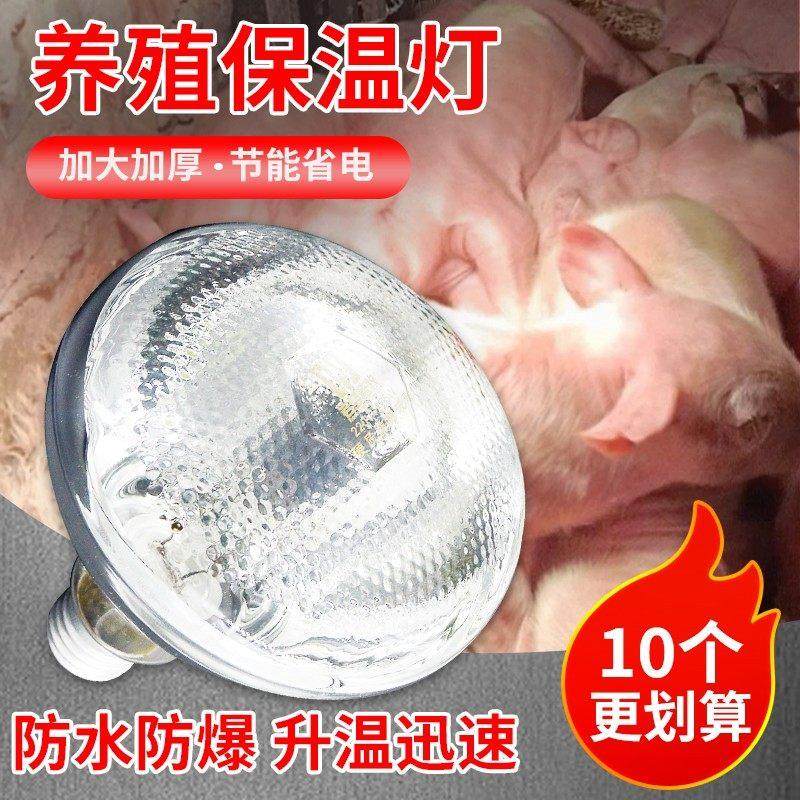 保温灯猪用保暖灯养殖场专用鹦鹉仔猪发热烤灯猪小鸡育雏取暖灯泡,畜牧/养殖物资,养殖保温灯,淘宝优惠券,粉丝福利购,淘宝优惠卷