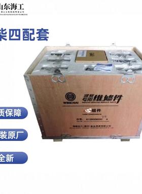 临工龙工山工柳工50装载机配件 潍柴WD615 发动机配件 铲车四配套