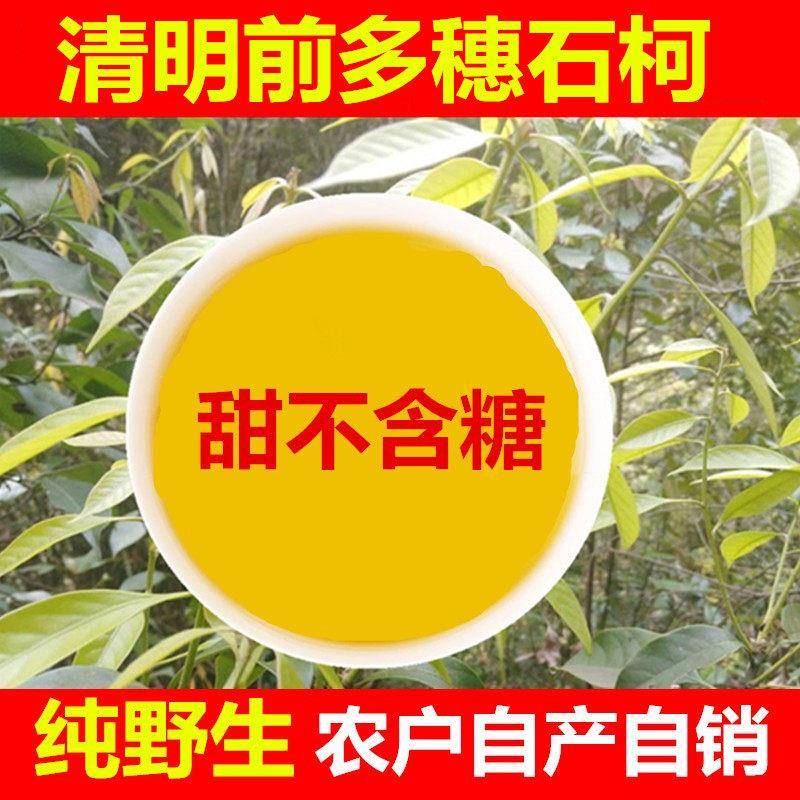 清明前特级野生甜茶 江西多穗石柯甜茶 木姜叶柯嫩芽甜茶 食用农