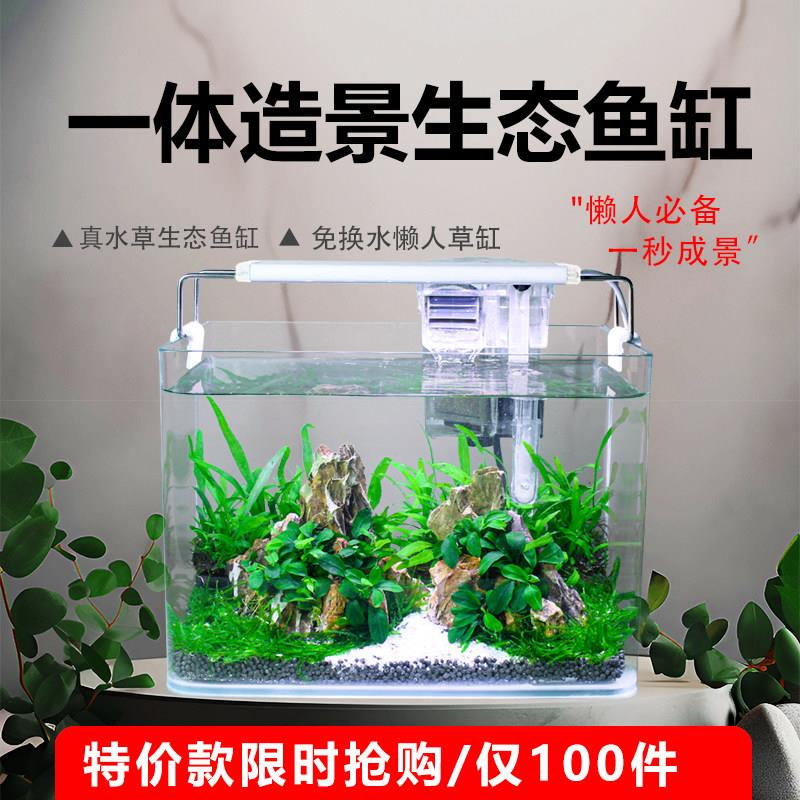 小型热弯真水草一体造景全套玻璃鱼缸家用桌面客厅生态免换水鱼缸