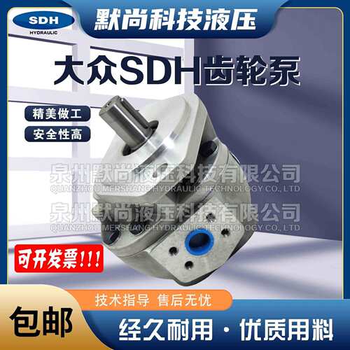 大众SDH齿轮泵CBF-E10/E16/E18/E25/E32/E40/E50LP8液压油泵总成