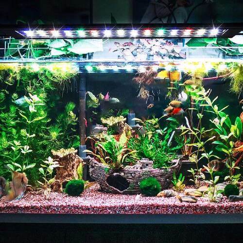 Fish Tank Lights Aquarium Lamp LED Plant Grow Light Full
