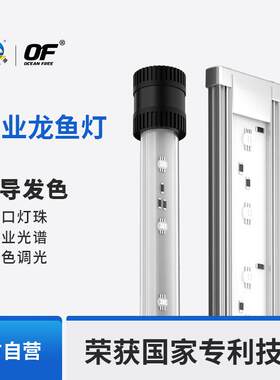 仟湖红龙专用灯LED照明灯防水三色全光谱观赏鱼缸灯超亮增艳吊灯