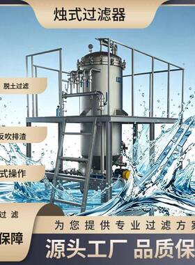 夹套烛式过滤器制活性炭脱碳排干渣过滤机滤芯滤筒反冲洗自清洗