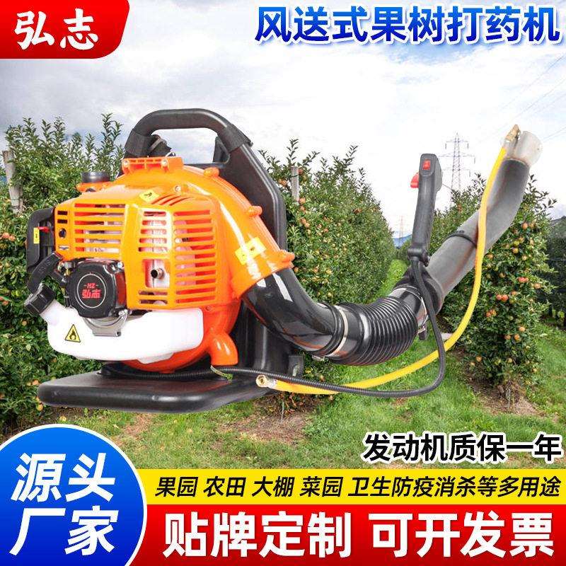 背负式喷雾机果树葡萄苹果柑橘打机农用喷雾器农田施器汽油机