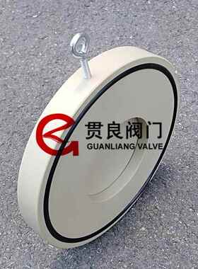 PP对夹式止回阀FRPP对夹止回阀PP板式单向阀/逆止阀DN50-DN300