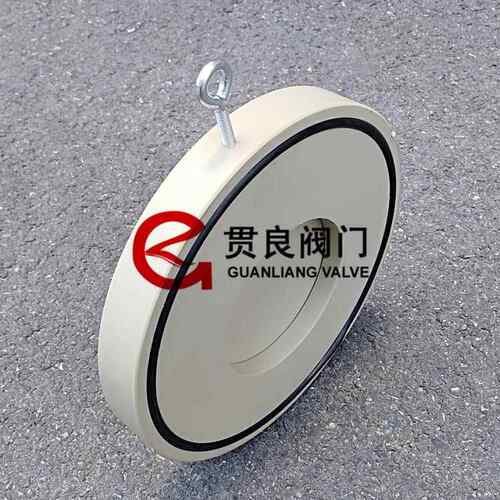 PP对夹式止回阀FRPP对夹止回阀PP板式单向阀/逆止阀DN50-DN300