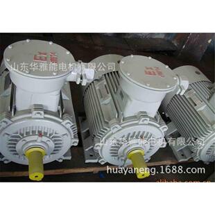 YBBP-31512-85KW替代江淮1六安LYBBP电机整机HIO及端盖风罩-风叶