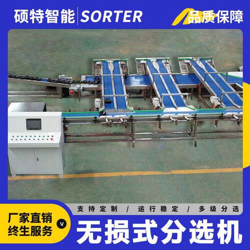 玉露香梨多级呵护式称重选果机 西瓜重量分选机 菠萝无损分拣机