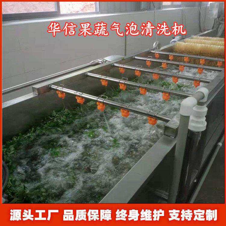 新款艾叶艾草气泡清洗机青蒿苦蒿清洗设备喷淋式中草清洗机器