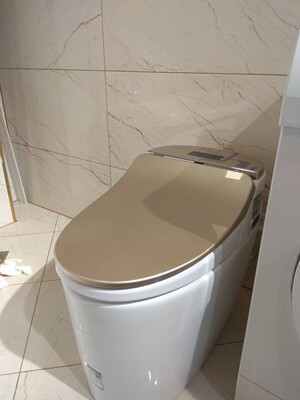 德国摩航智能马桶怎么样用后告诉大家实情