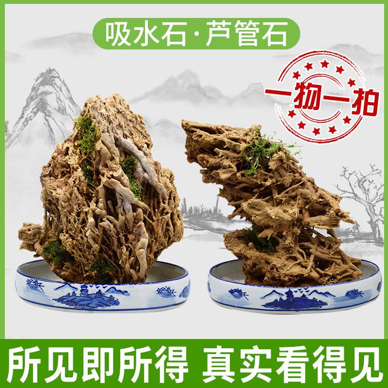 天然芦管石风景石上水石吸水石假山盆景观赏鱼缸造景客厅天然原石