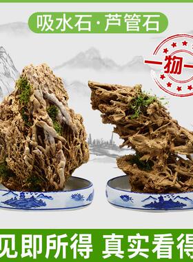 天然芦管石风景石上水石吸水石假山盆景观赏鱼缸造景客厅天然原石