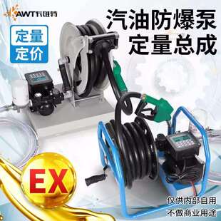 电动抽油泵12v24v220v伏柴汽油防爆车载加油机小型卷盘机