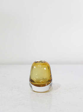 轻奢北欧INS风小巧小口厚水晶玻璃花瓶样板房家居软装饰餐桌摆件