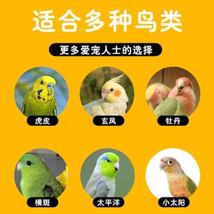 虎皮鹦鹉鸟笼大号牡丹鸟笼子鹦鹉笼家用通用电镀玄凤豪华别墅铁艺