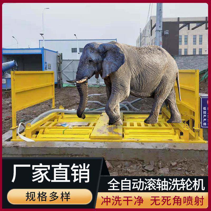 自动感应承重力强工地滚轴洗车机大型工程车辆高压出水冲洗平台