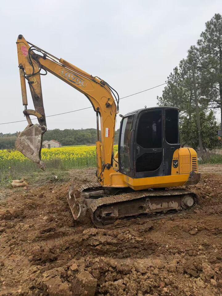 3月18日金华雷沃60挖掘机网络拍卖公告