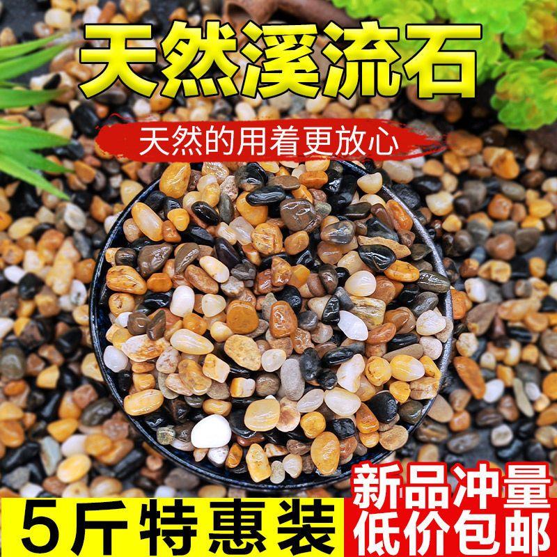 河北天然河沙溪流小石子过滤沙鹅卵石原生水族鱼缸水草缸多肉铺面
