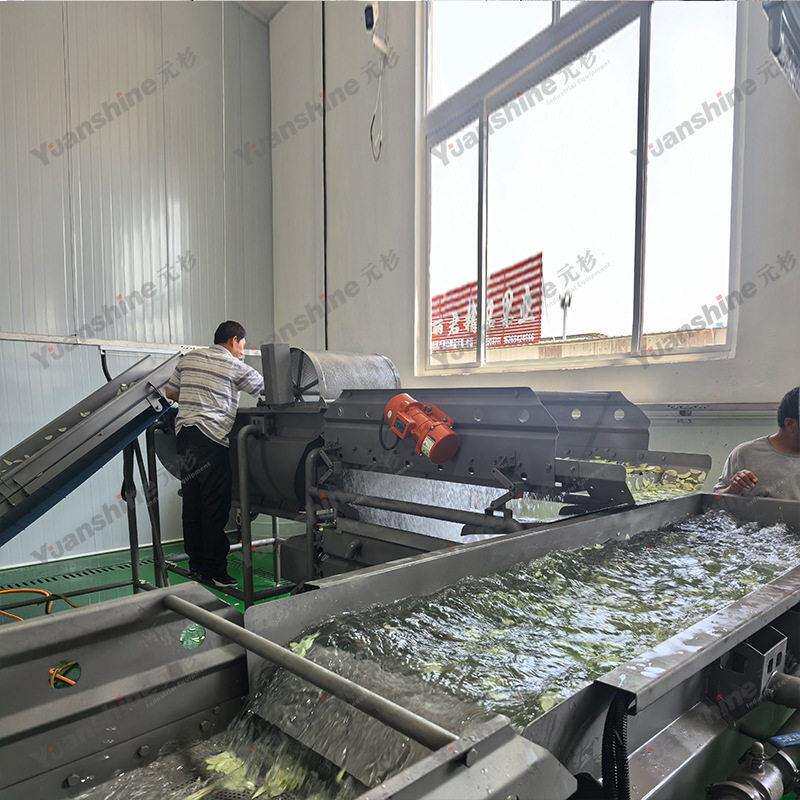 大型果蔬涡流清洗机 速冻果蔬清洗机 全自动翻浪式豆芽清洗机