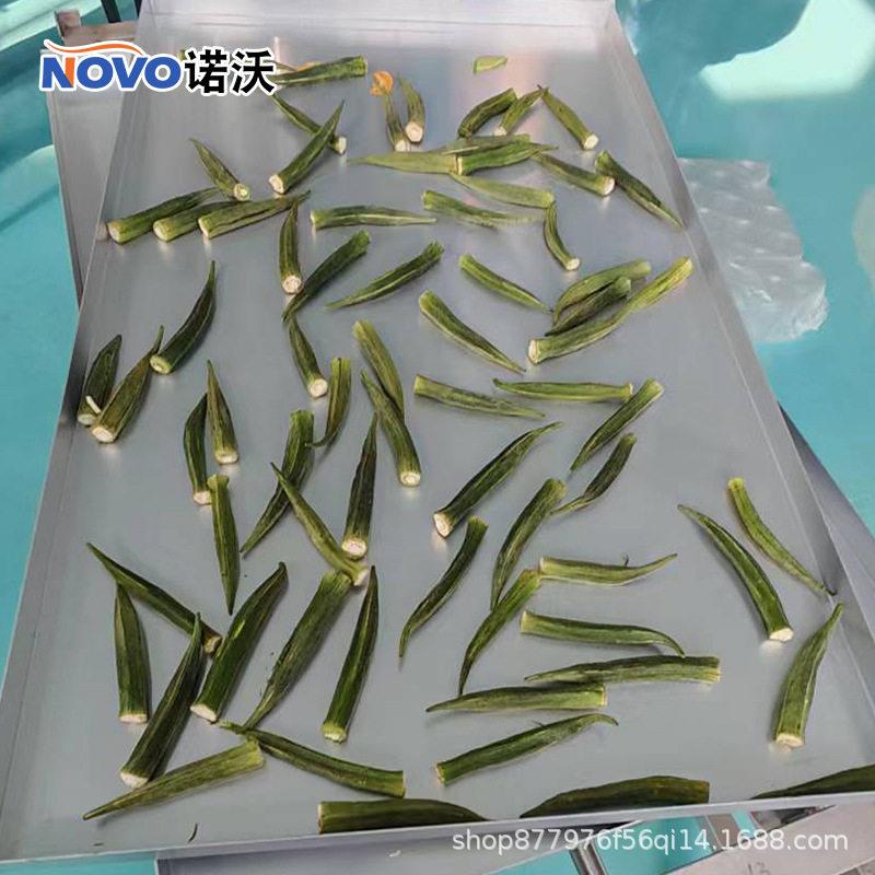 宠物零食鸡胸肉冻干设备秋葵菠萝蜜果蔬真空冷干机低温真空冻干机