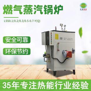 电加热蒸汽发生器工业金属燃气锅炉轮胎食品全自动燃气蒸汽模温机