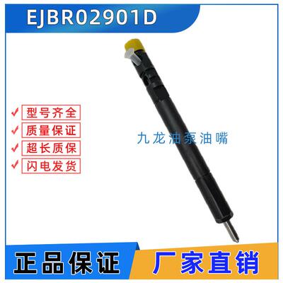 EJBR02901D适用德尔福喷油器共轨喷油嘴总成2901D