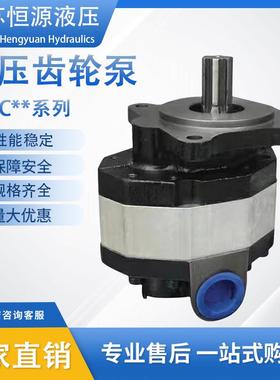 高液压CBFC转向齿轮油泵CB-FC10/12/16/20/25/18/32/40/50/63/FL