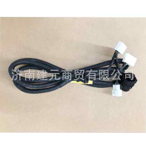 陕汽德龙新M3000左尾灯线束 DZ93189776501