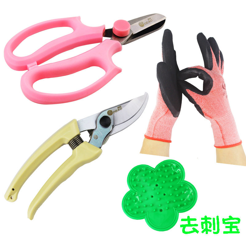 花艺剪刀剪刀工具园艺用品套装图片