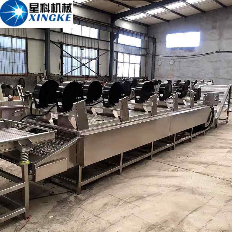 包装袋快速风干机震动沥水风干机葡萄干清洗风干设备