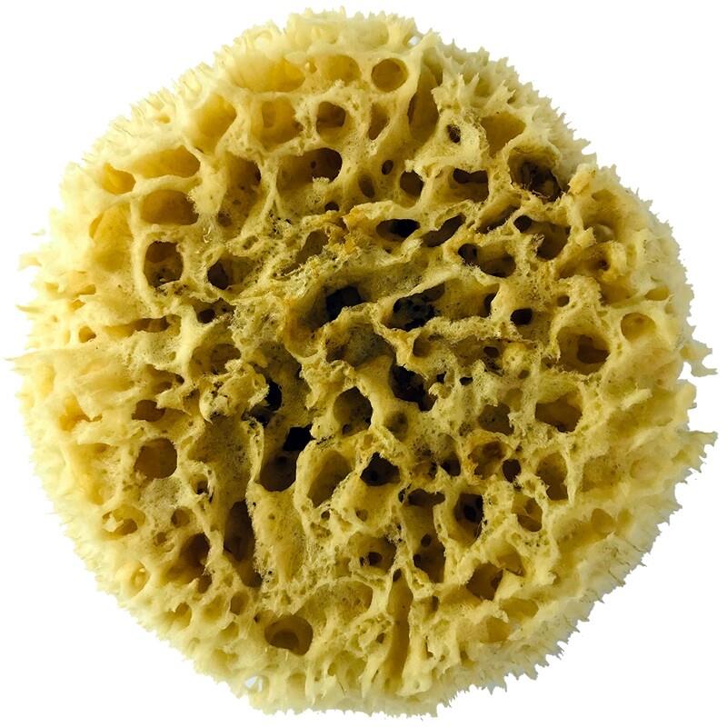 进口希腊天然海藻绵三色珠光艺术漆点彩蜂窝海藻棉幻彩漆拍花工具