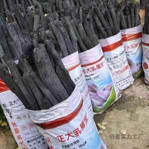 青木炭青露钢炭去青杠炭菊花炭野冈炊烧烤炭营皮炭803户外烧烤灶