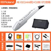 高档R子oland罗电吹兰管乐器AE01娱乐初学e0a5 01c电萨克斯葫芦丝