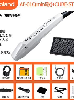 高档R子oland罗电吹兰管乐器AE01娱乐初学e0a5/01c电萨克斯葫芦丝