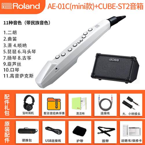 高档R子oland罗电吹兰管乐器AE01娱乐初学e0a5/01c电萨克斯葫芦丝