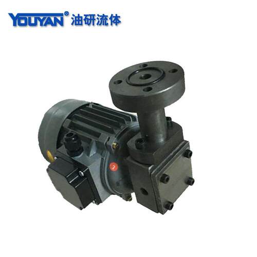 CB-1.2减速机润滑泵ZCB-0.8转子式油泵电机装置BB-2.2/2/1.4/0.4