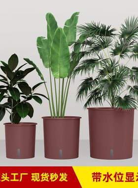室内租摆植物造景组合异形花盆圆形店铺绿植组合种植箱可移动花盆