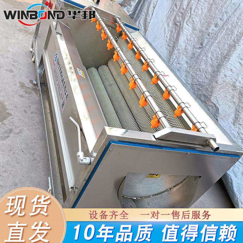 土豆红薯毛辊清洗去皮机 大姜毛刷清洗机 全自动磨皮清洗设备