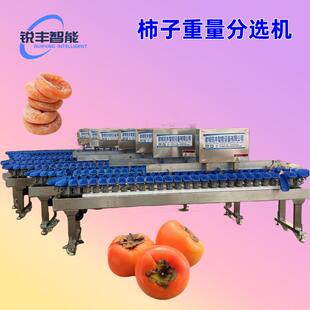 柿饼重量分选机柿子分级称苹果分拣机橘子重量分级机西红柿选果机