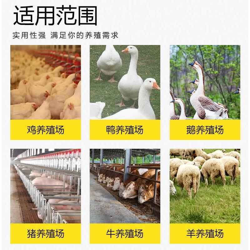 畜牧业环卫清洁机养殖场栏舍料槽地面蒸汽清洗机高压热水清洗设备