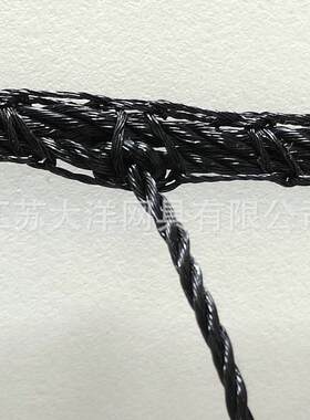 新款直销涤纶网 养殖场鸡网农业用加粗养殖网鸭网 养殖涤纶网聚乙