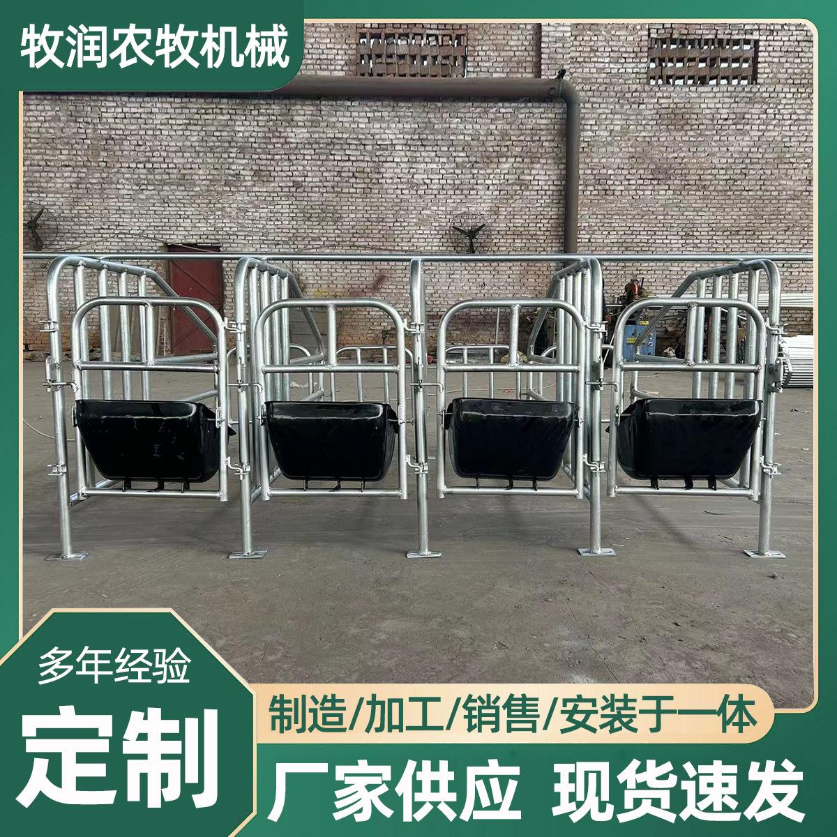 小香猪产床限位栏母猪限位栏定位栏猪用落地式加厚养猪设备镀锌管