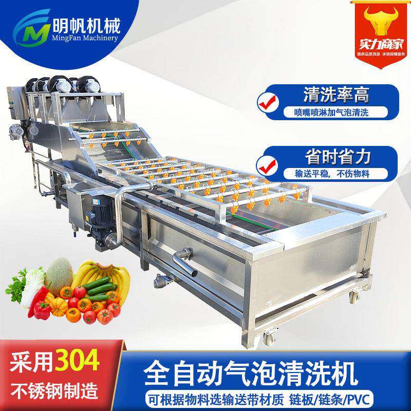 全自动气泡清洗机喷淋式鼓泡清洗机大型商用洗果机