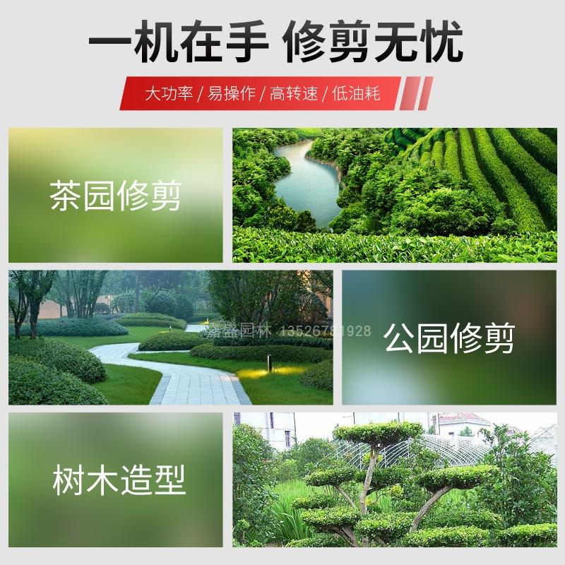 进口两冲程绿篱机茶叶茶树修剪机双刃G23款汽油绿化修剪机修边机