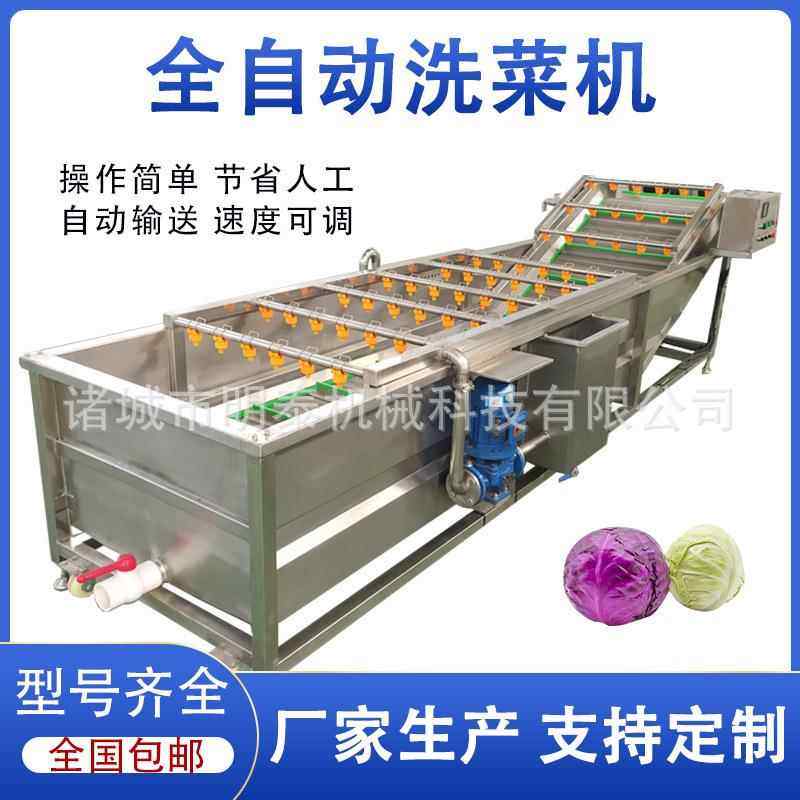 叶菜类全自动洗菜机土豆片土豆丝清洗设备蓝莓桑葚果蔬气泡清洗机